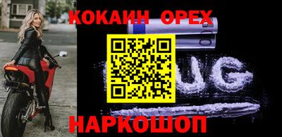 шишки Аргун