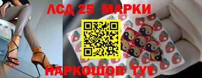 шишки Аргун