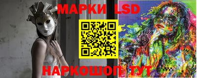 шишки Аргун