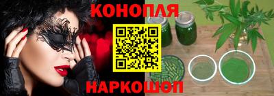 шишки Аргун