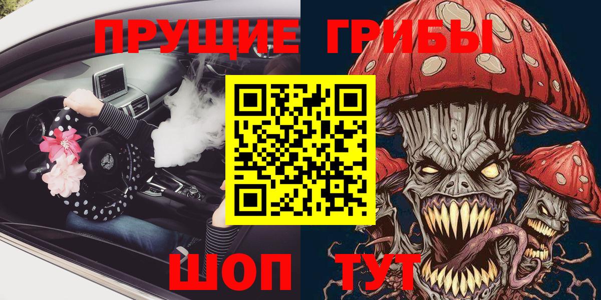 Псилоцибиновые грибы Psilocybe Артёмовский
